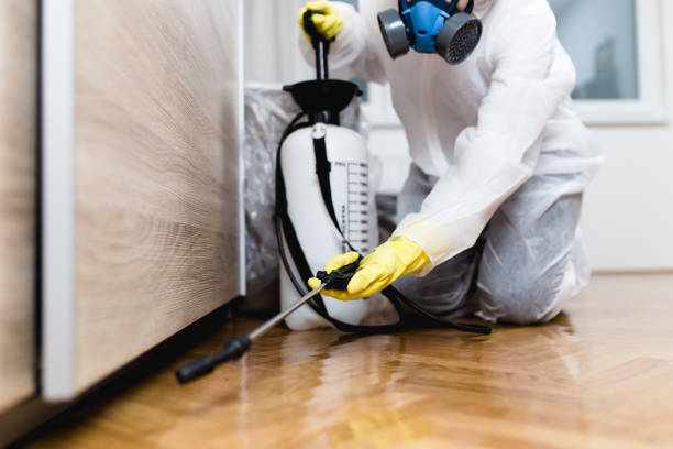 Best Affordable Pest Control Services  in Craigsville, WV