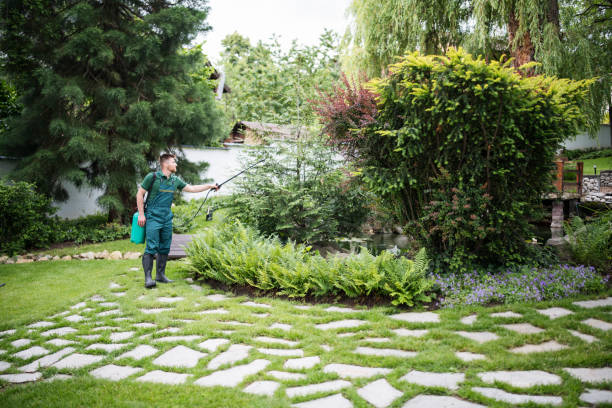 Best Pest Prevention Services  in Craigsville, WV